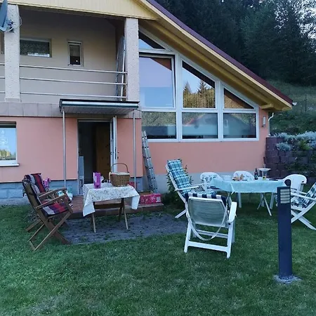 Tannenwald Holiday home *