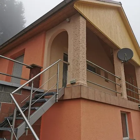 Tannenwald Holiday home