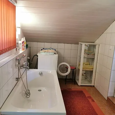 Tannenwald