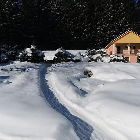 Tannenwald Holiday home