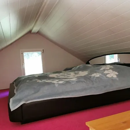 Tannenwald Holiday home Schmiedefeld am Rennsteig